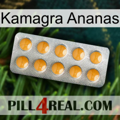 Kamagra Pineapple levitra1